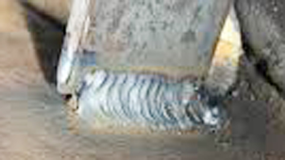 Welding Cast Iron With Flux Core