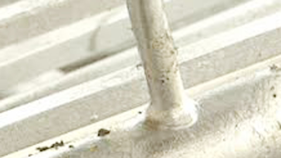 Can You Polish Galvanized Steel